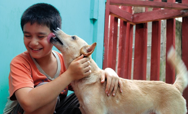9-Jähriger gründet sein eigenes Tierheim und rettet Straßenhunde.