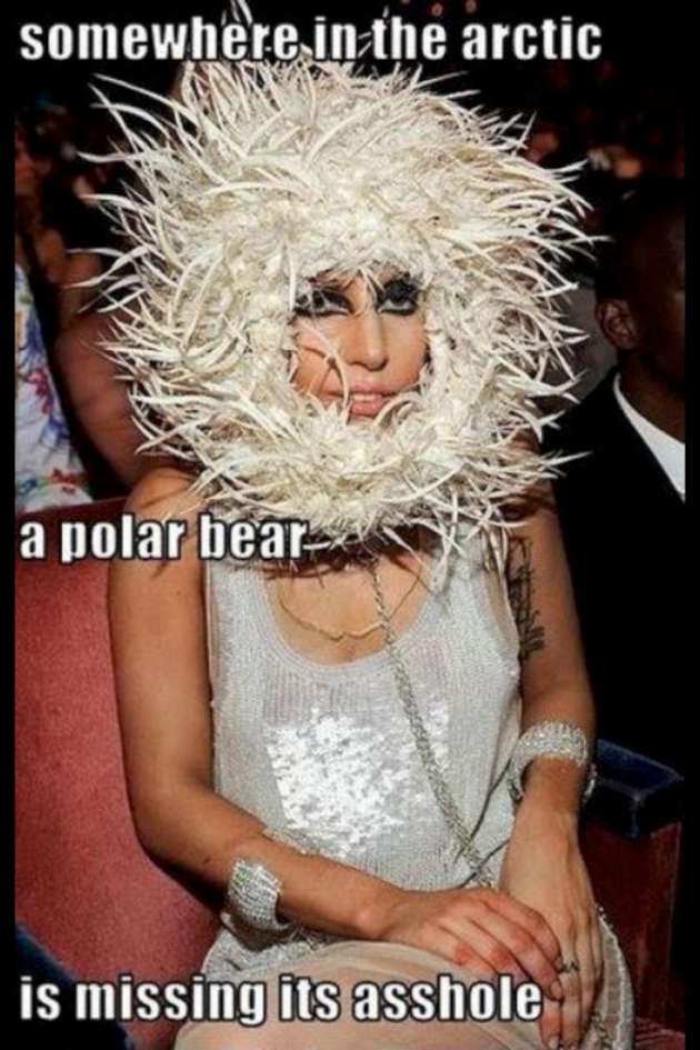 lady-gaga-polar-bear